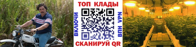 Виды наркоты Димитровград Каннабис  Амфетамин  ГАШИШ  hydra как зайти  Cocaine  Меф 