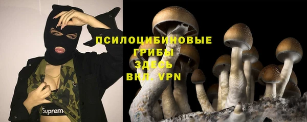 герыч Карпинск