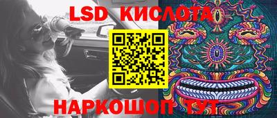 крисы Берёзовский