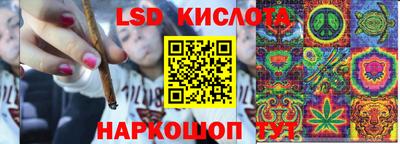 прущие грибы Бийск