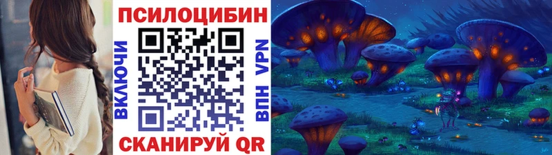 хочу   Димитровград  Галлюциногенные грибы Psilocybine cubensis 