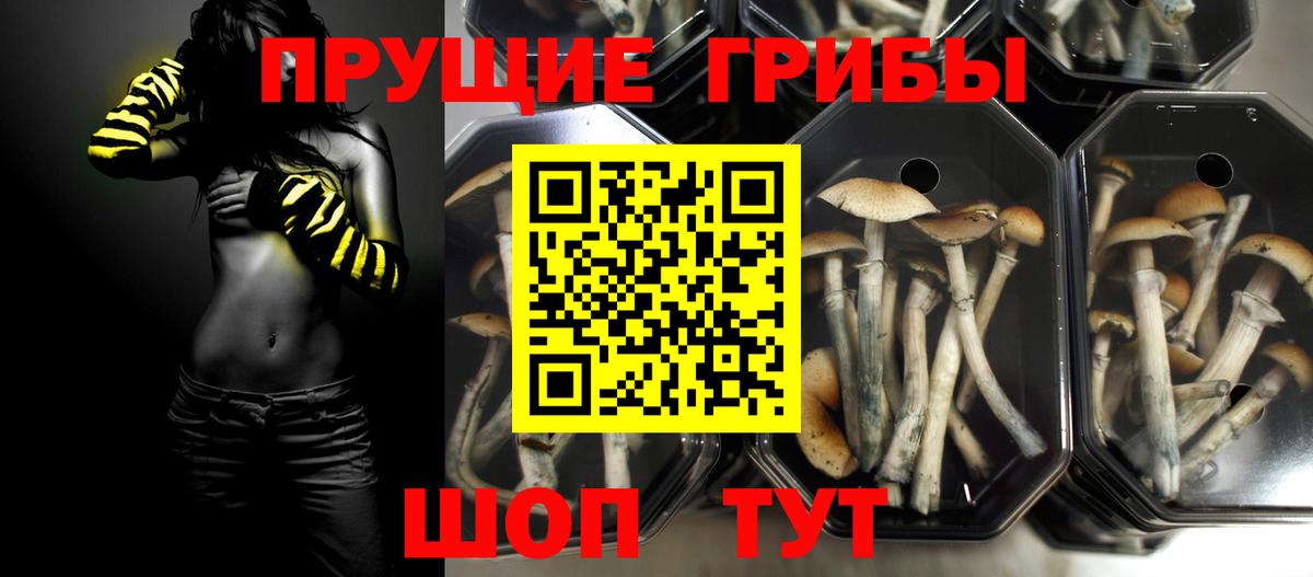 Галлюциногенные грибы Magic Shrooms  где купить   Галлюциногенные грибы ЛСД  Димитровград  Вход с VPN 