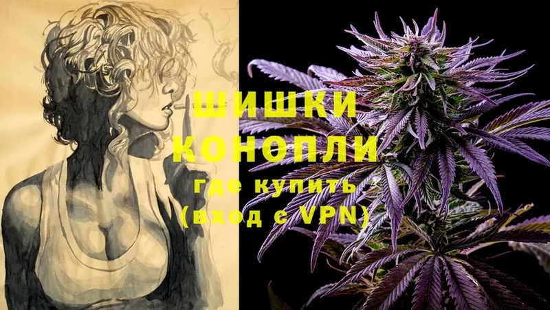 купить   Димитровград  Каннабис SATIVA & INDICA 